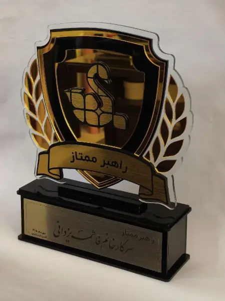 راهبر ممتاز کمپ لیدرشیپ