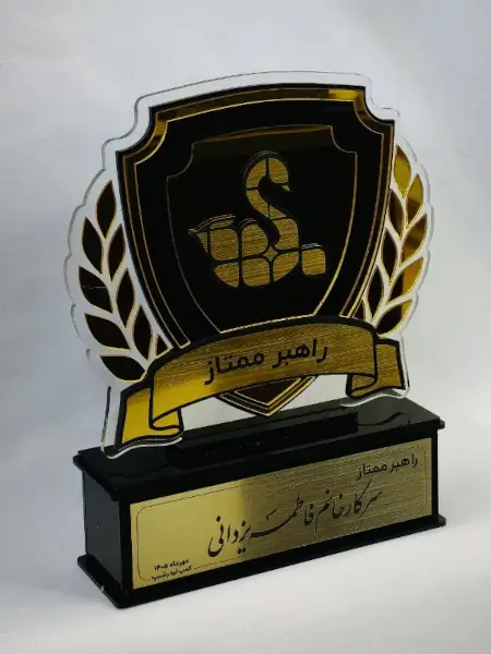 راهبر ممتاز کمپ لیدرشیپ